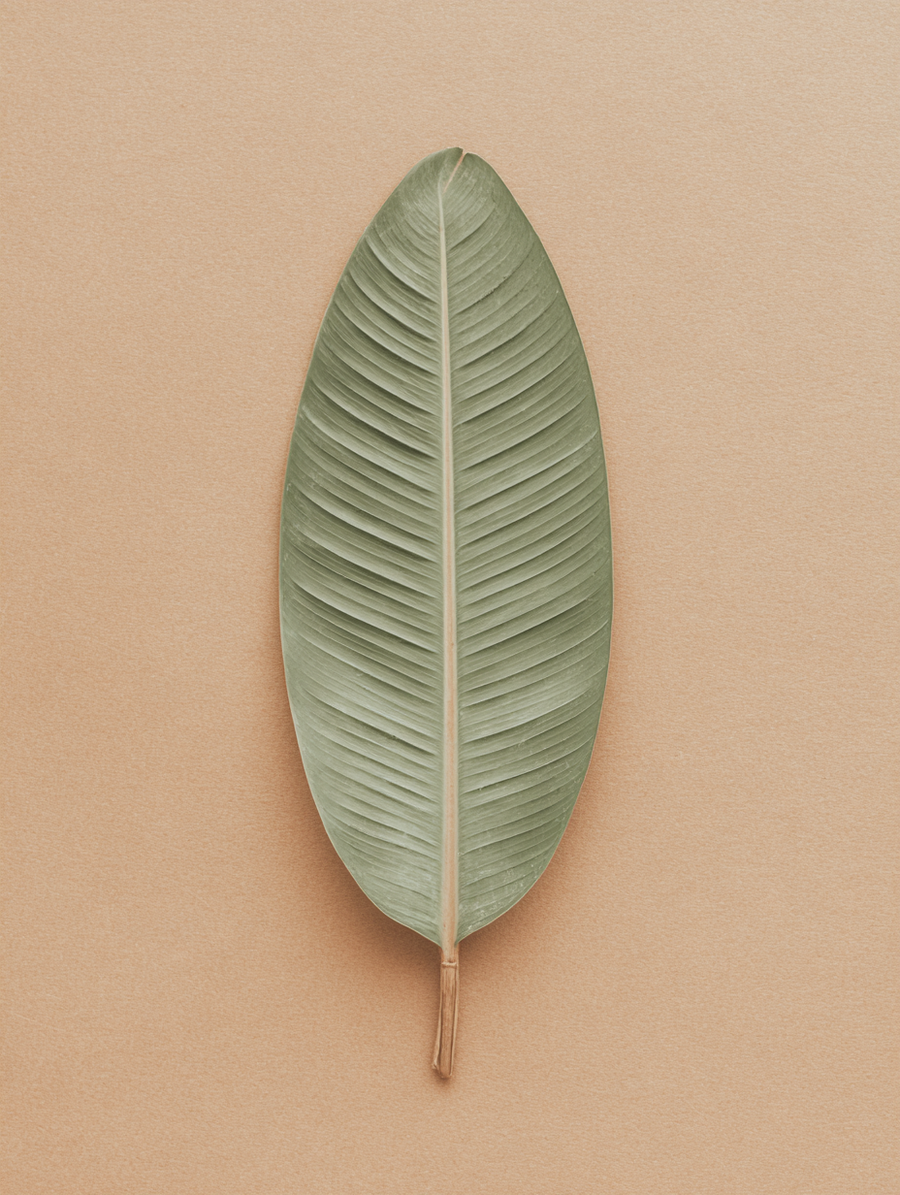 Botanical Skincare: What It Means for Sensitive Skin and Why Formulation Integrity Matters