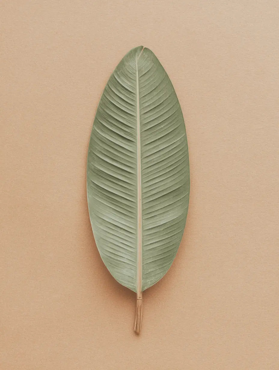 Botanical Skincare: What It Means for Sensitive Skin and Why Formulation Integrity Matters