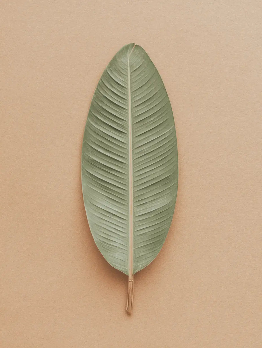 Botanical Skincare: What It Means for Sensitive Skin and Why Formulation Integrity Matters
