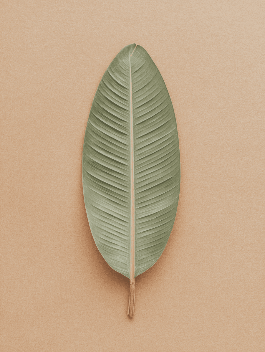 Botanical Skincare: What It Means for Sensitive Skin and Why Formulation Integrity Matters - peruda skincare