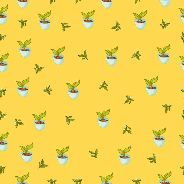 Pracaxi Oil: the science behind one of the Amazon's most effective skin oils