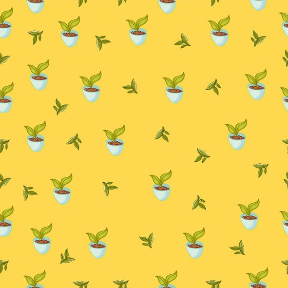 Pracaxi Oil: the science behind one of the Amazon's most effective skin oils - peruda skincare