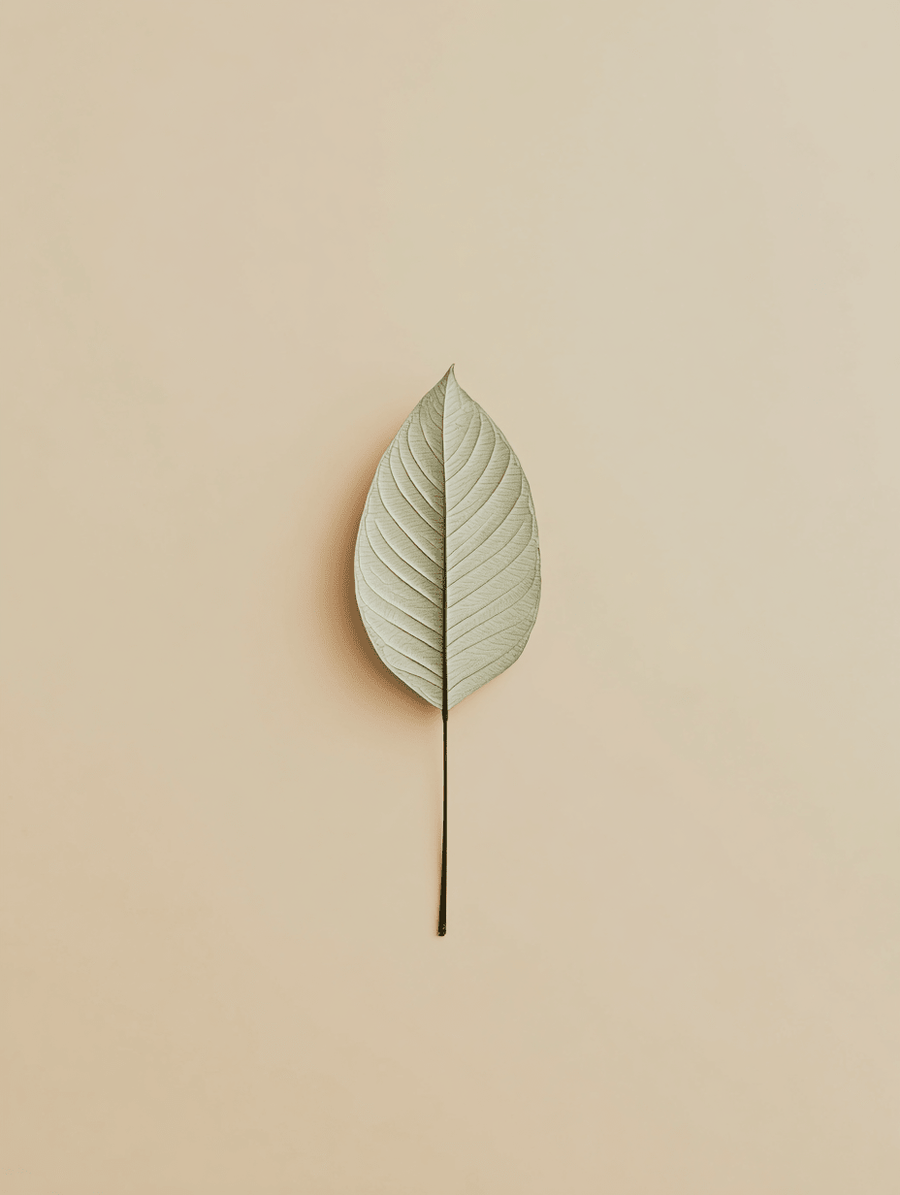 Retinol - what are the natural alternatives? - peruda skincare