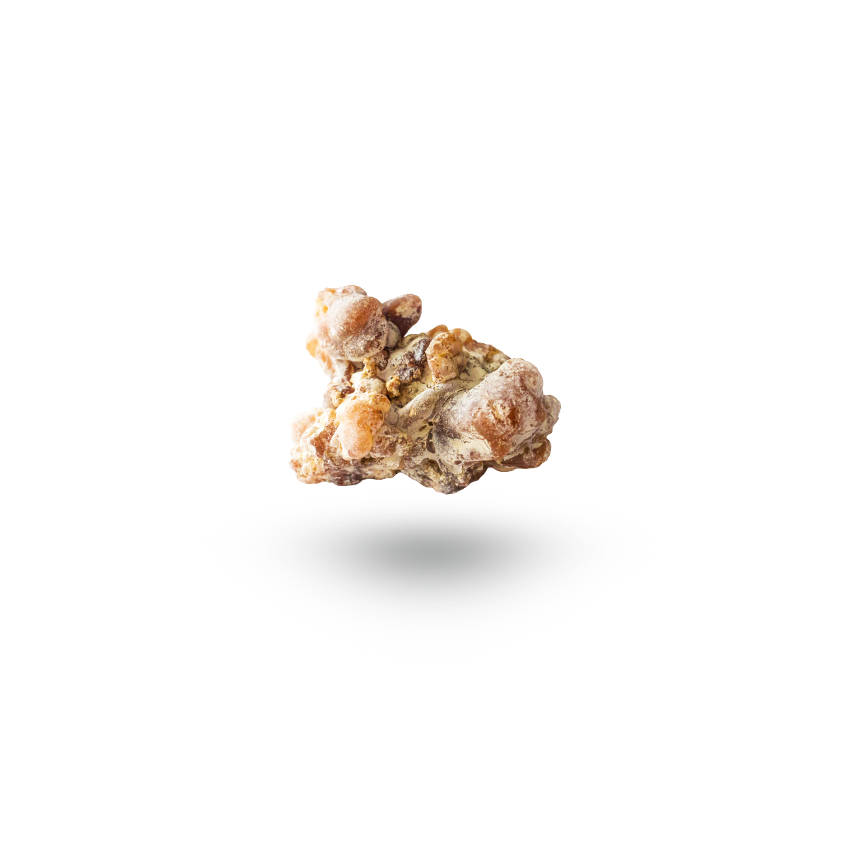 A single irregular, knobby root-like lump of copaiba resin with a rough, textured surface in tan, brown, and cream tones, centered on a plain white background with a soft drop shadow underneath.