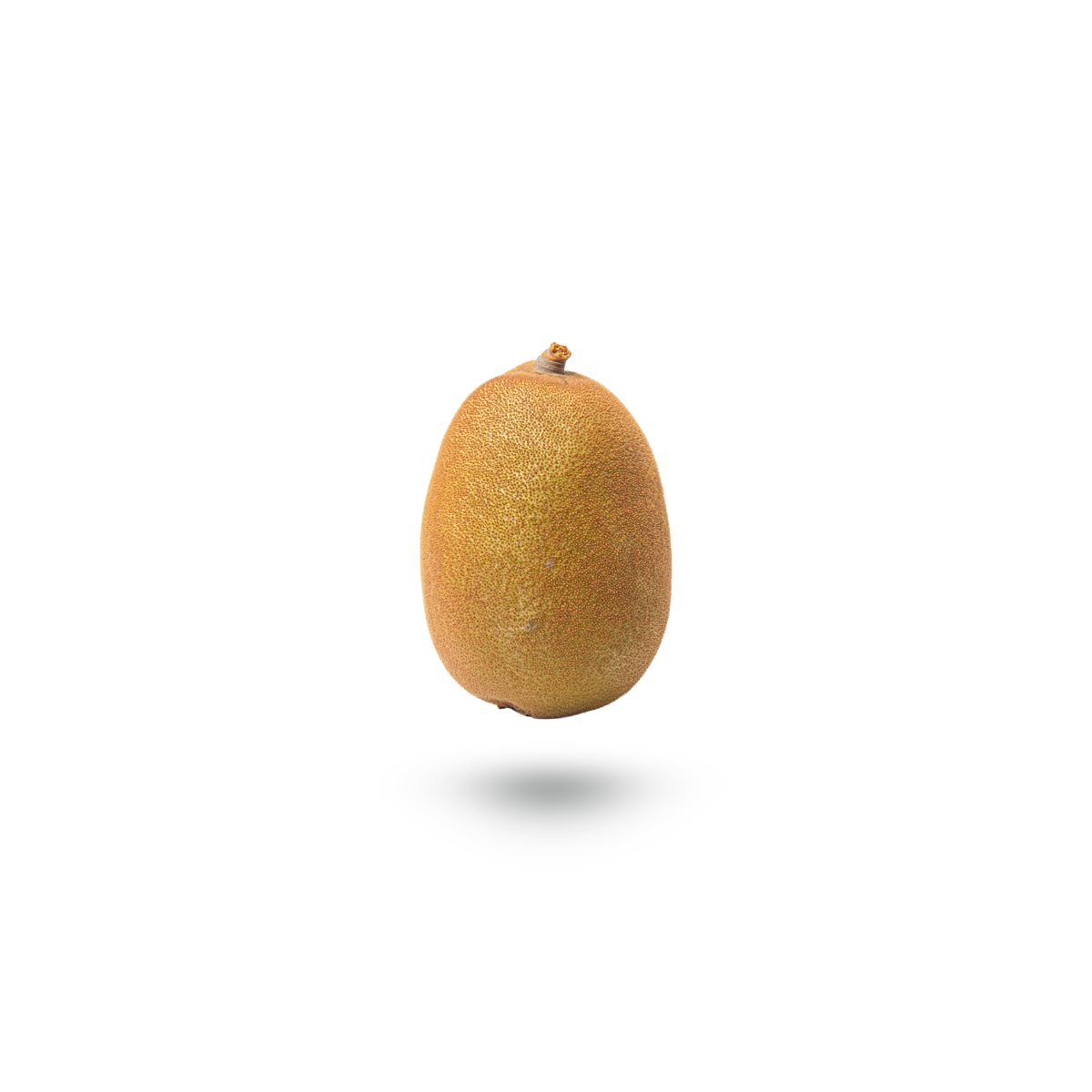 A single brown cupuaçu fruit floating against a plain white background with a soft shadow underneath.
