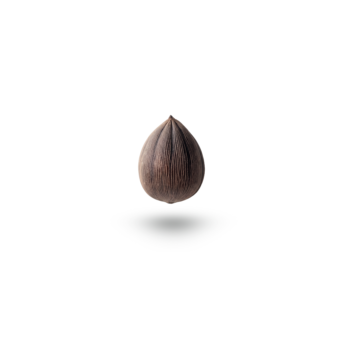 A single dark brown, teardrop-shaped murumuru seed with vertical ridges, floating against a solid white background with a soft drop shadow underneath.