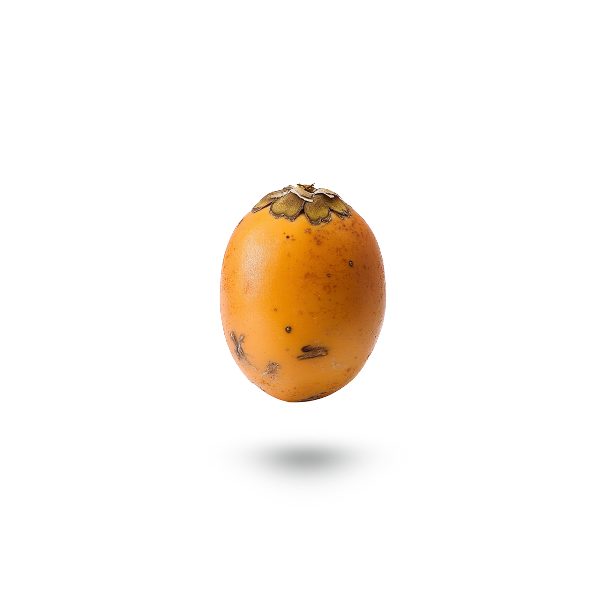 A single tucumã fruit floating against a solid white background with a soft shadow underneath.