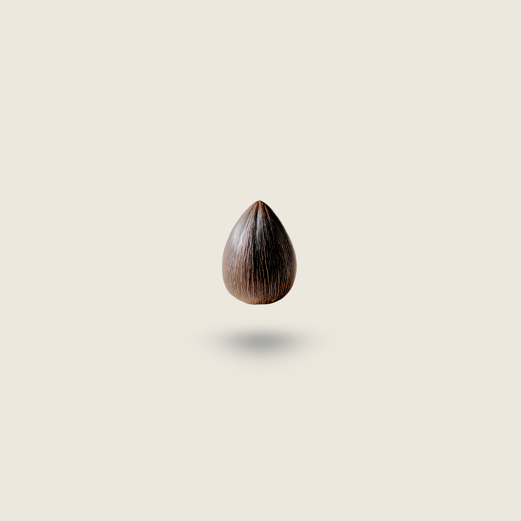 Single teardrop-shaped murumuru on a beige background