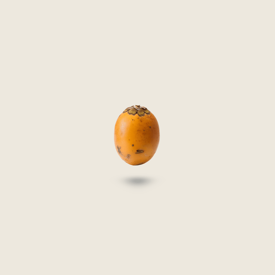 Single Tucuma fruit on a beige background