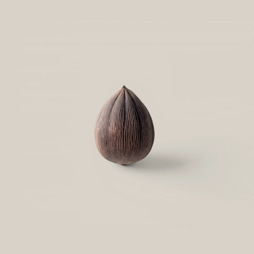 A single dark brown teardrop-shaped object with a pointed top and subtle vertical texture, photographed on a plain warm beige background.
