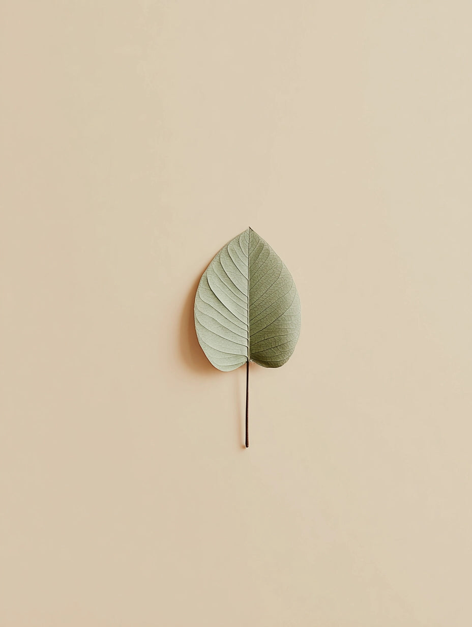 Single green leaf on a beige background
