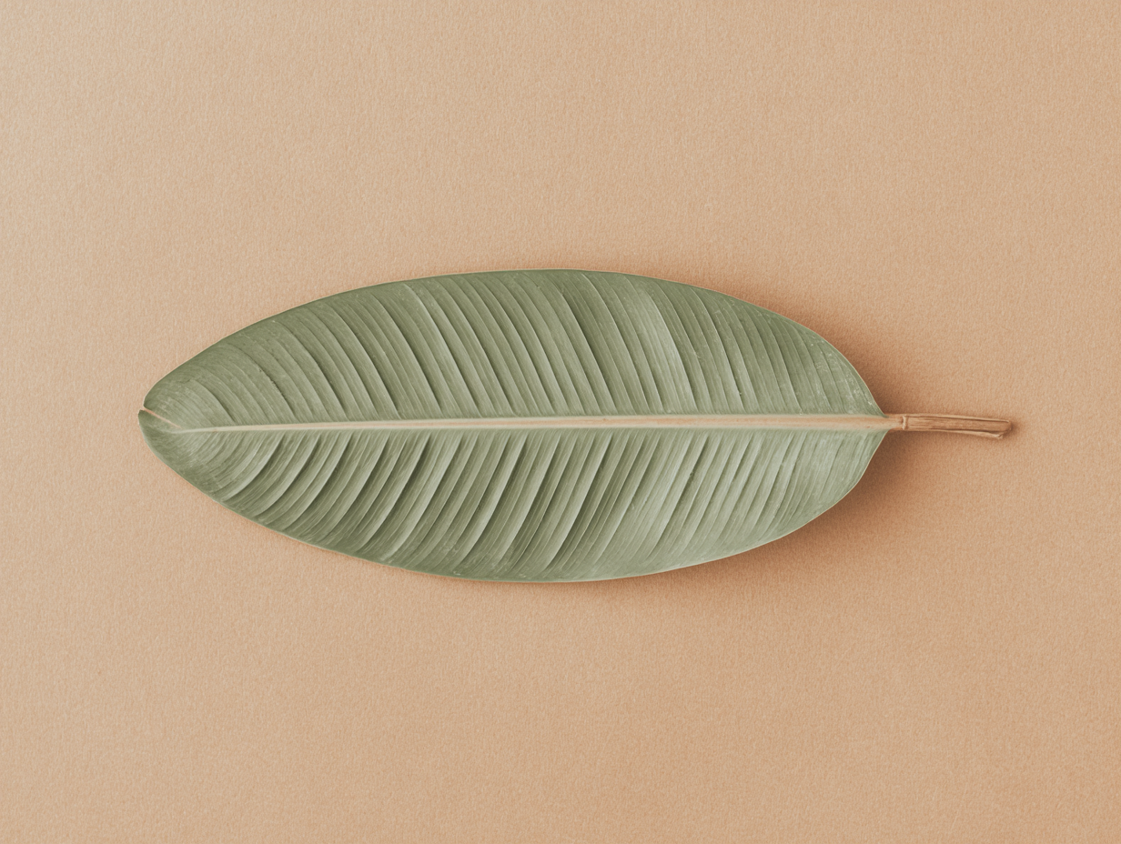 Single green leaf on a beige background