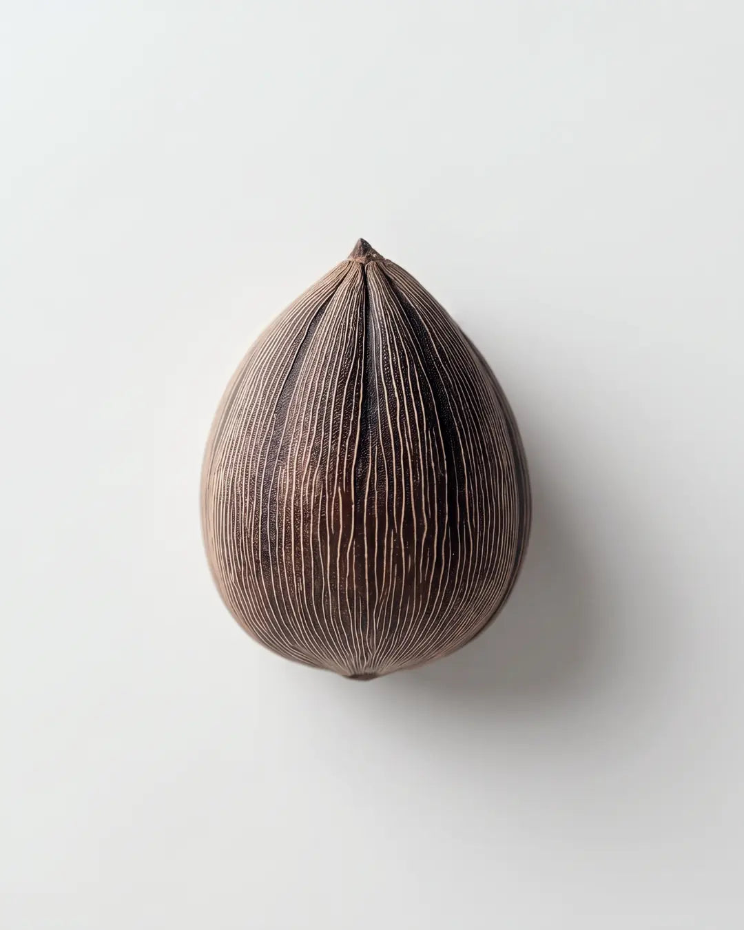 A single dried seed pod with a teardrop shape and prominent vertical ridges, shown against a plain light gray background.