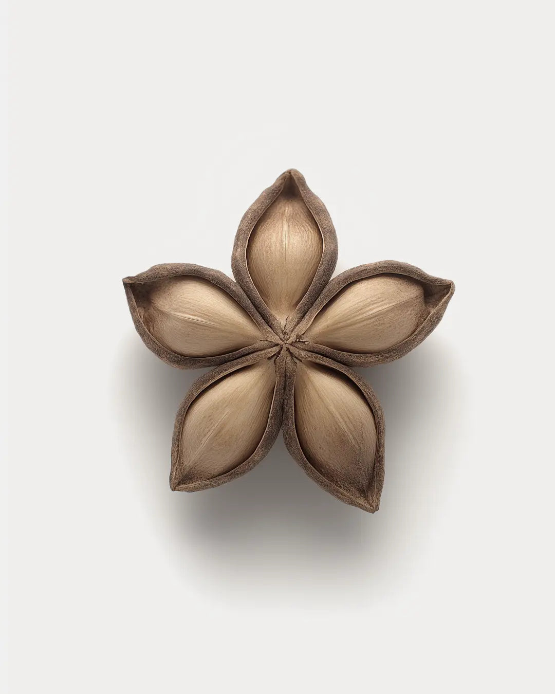 A five-petal flower-shaped decorative object with a metallic bronze finish, photographed from directly above on a light gray background.