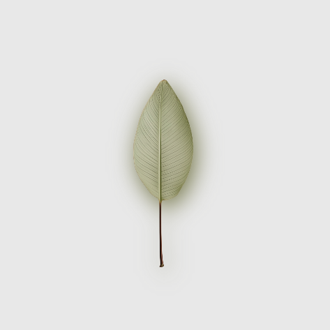 A single decorative leaf wall hanging with a light sage green textured leaf body and a thin dark brown stem, centered against a plain light gray background.